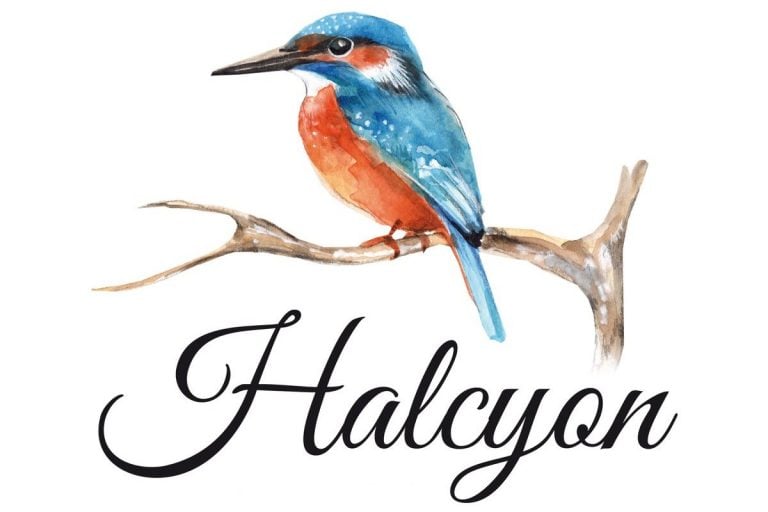 The Myth of Halcyon – Halcyon Days